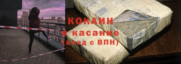 СК Алексин